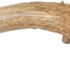 CZ Grain Deer Antlers for Dogs, Premium, Grade A, Deer Antler Dog Chew, Long Lasting Dog Treat for Your Pet. from The USA