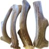 CZ Grain Deer Antlers for Dogs, Premium, Grade A, Deer Antler Dog Chew, Long Lasting Dog Treat for Your Pet. from The USA