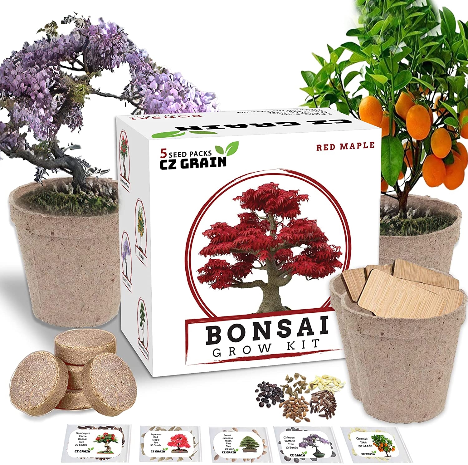 Medium Bonsai Tree Repot Kit (8 inch pot)