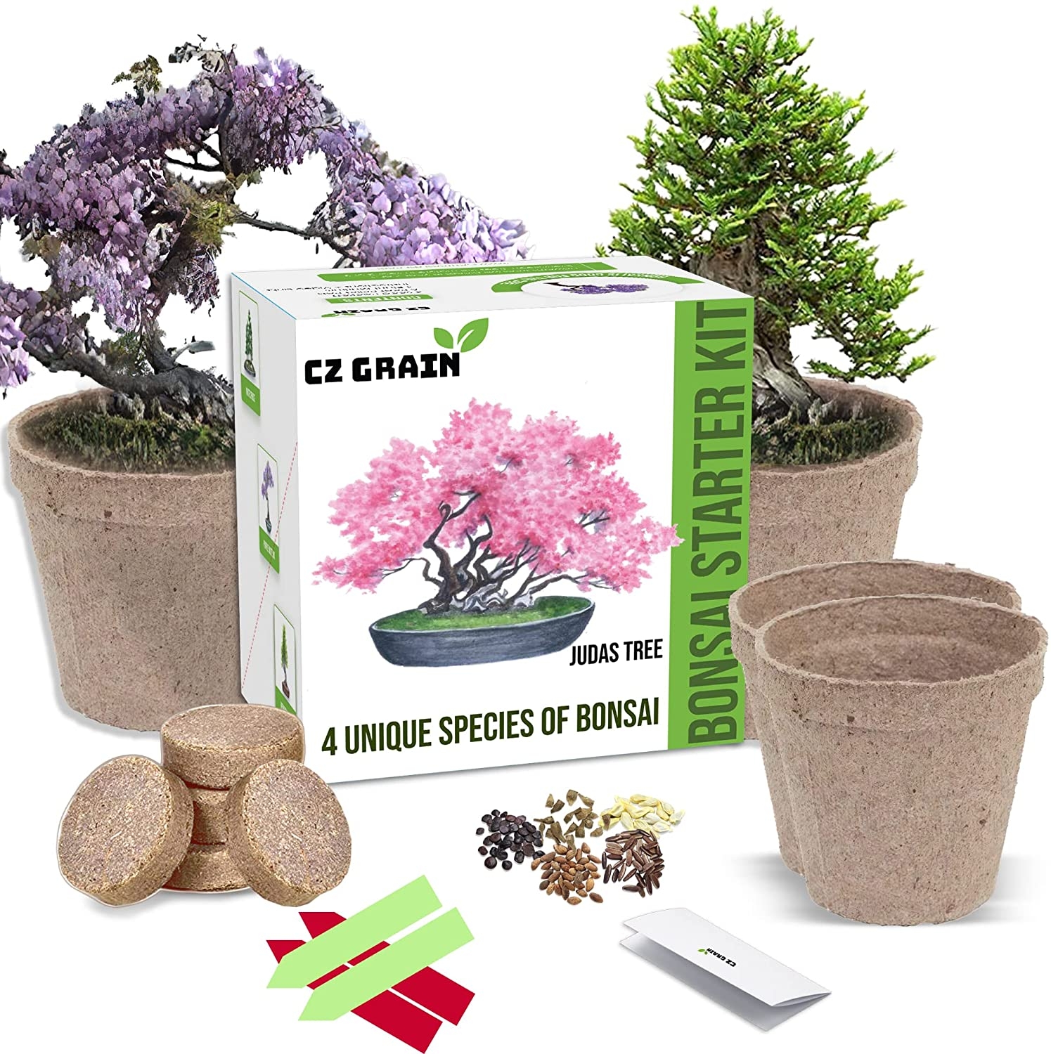 Bonsai Tree Seed Starter Kit Grow 4 Bonsai Trees From Seeds. All-in-one  Indoor / Outdoor DIY Beginner Grow Kit for Men & Women 