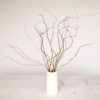 All Natural Curly Willow Branch Tips 12-30 Inches Long - Great for Crafts, Decoration, Vase Filler, Wedding or Event Decor (40