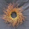 All Natural Curly Willow Branch Tips 12-30 Inches Long - Great for Crafts, Decoration, Vase Filler, Wedding or Event Decor (40